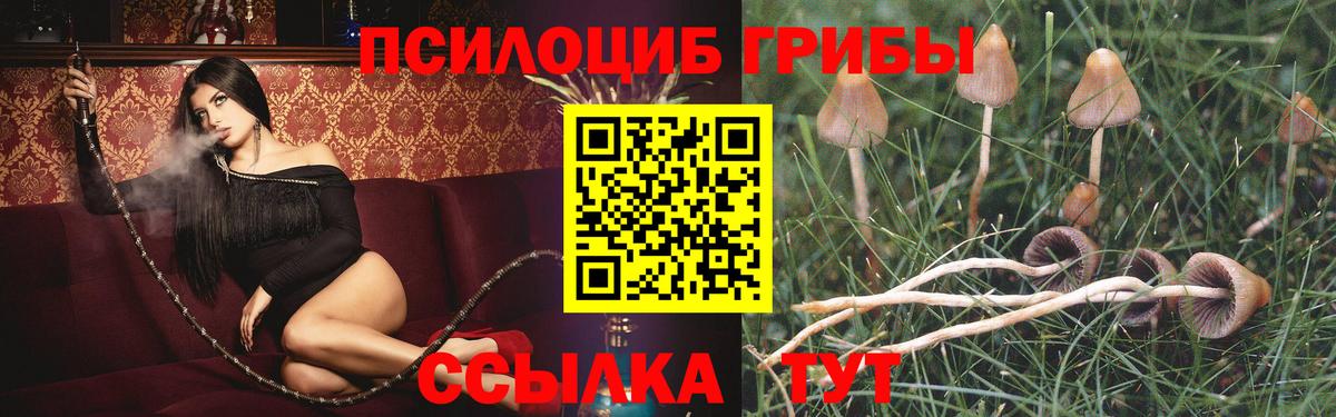 Луховицы  Галлюциногенные грибы мухоморы  Вход с VPN 